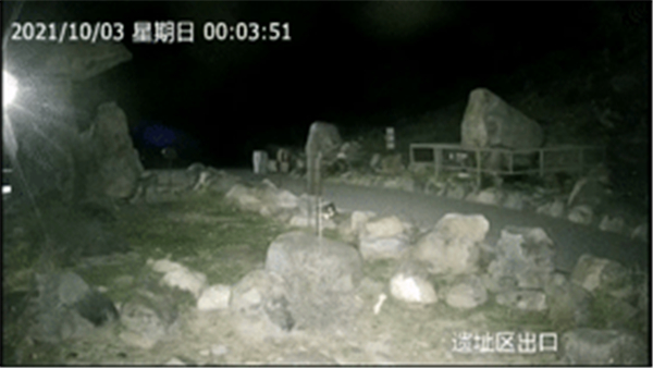 Z6人生就是博,湖南野活泼物追踪,湖南卫星追踪器,湖南追踪器 Z6人生就是博,湖南野活泼物追踪,湖南卫星追踪器,湖南追踪器