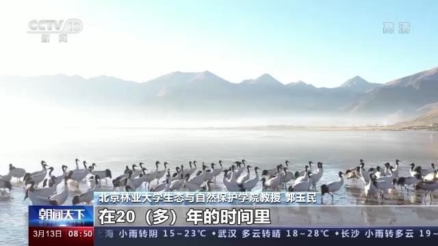 Z6人生就是博,湖南野活泼物追踪,湖南卫星追踪器,湖南追踪器 Z6人生就是博,湖南野活泼物追踪,湖南卫星追踪器,湖南追踪器
