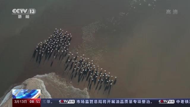 Z6人生就是博,湖南野活泼物追踪,湖南卫星追踪器,湖南追踪器 Z6人生就是博,湖南野活泼物追踪,湖南卫星追踪器,湖南追踪器