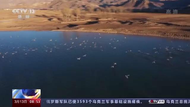Z6人生就是博,湖南野活泼物追踪,湖南卫星追踪器,湖南追踪器 Z6人生就是博,湖南野活泼物追踪,湖南卫星追踪器,湖南追踪器